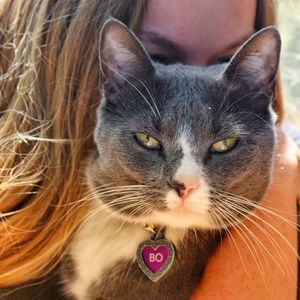 Meet your Posher, Abbey